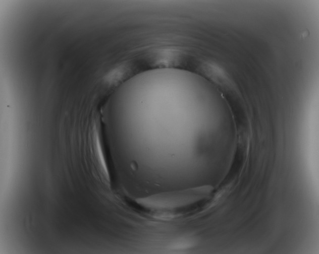 X0000086020127200703301041