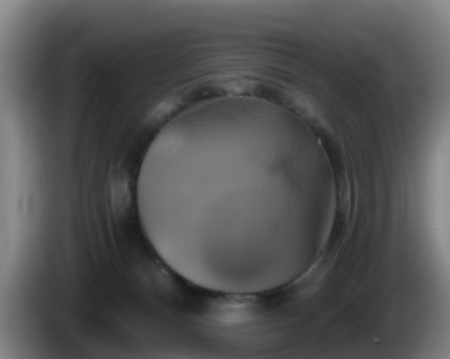 X0000086020128200703301041