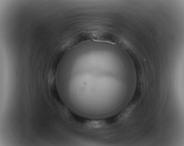 X0000086020129200703301041