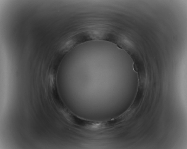 X0000086020130200703301041