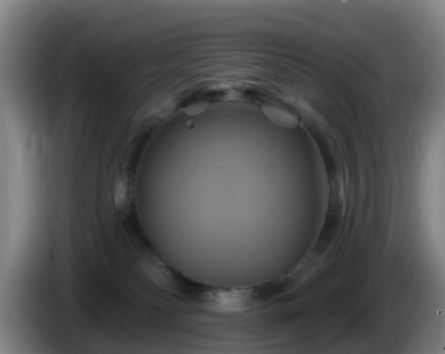 X0000086020134200703301040