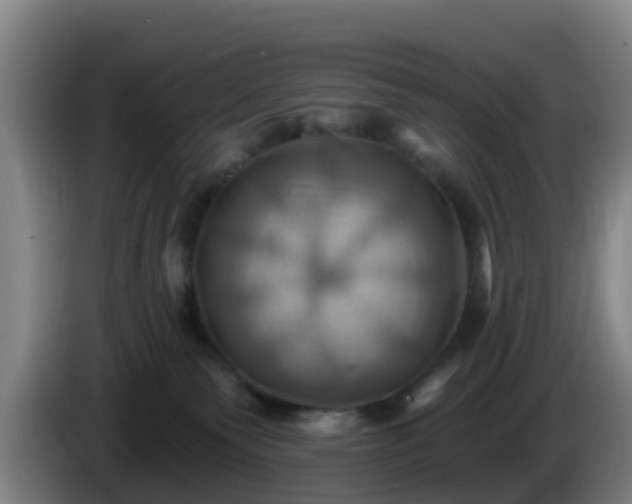 X0000086020135200703301040