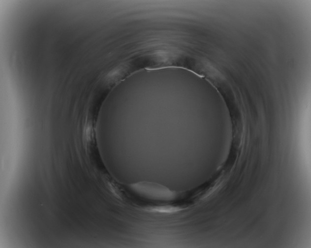 X0000086020137200703301040