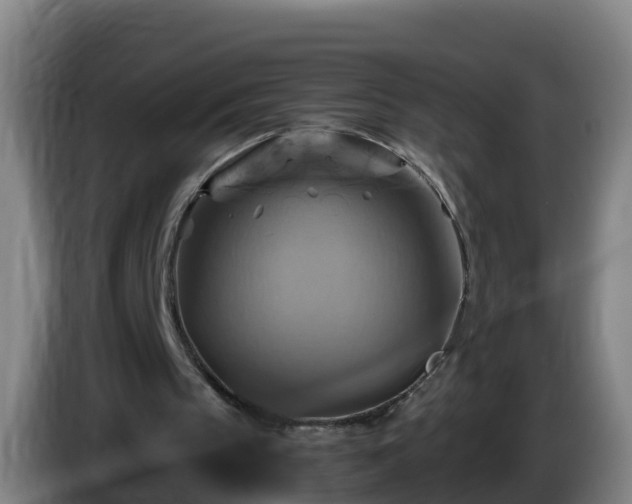 X0000086020145200703301040