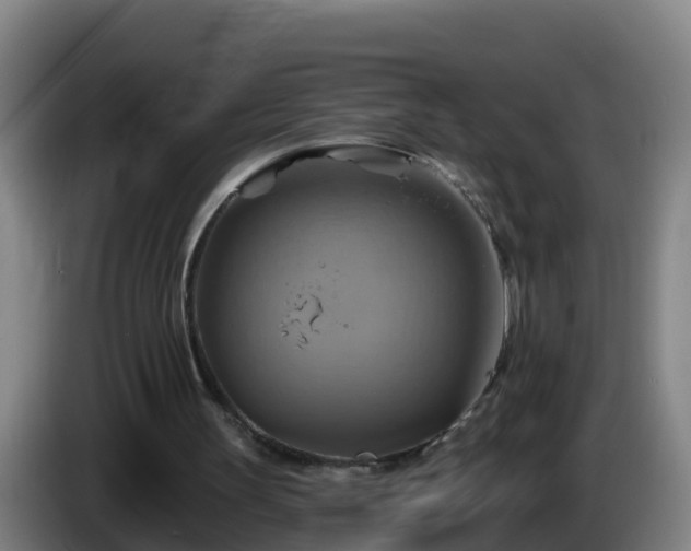 X0000086020147200703301040