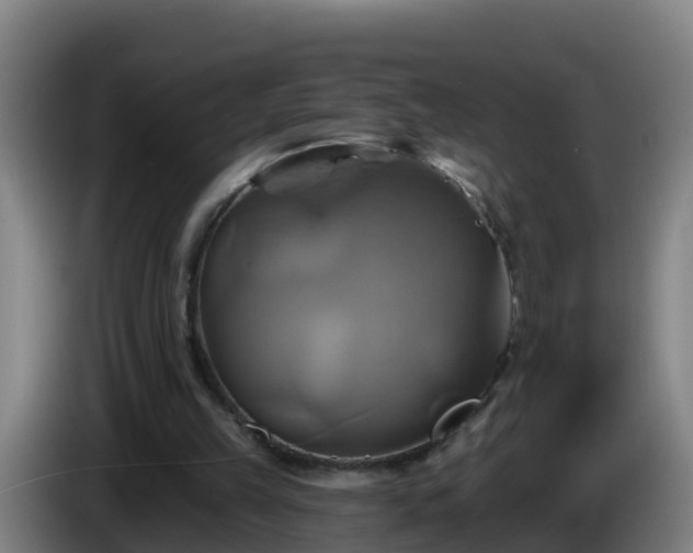 X0000086020149200703301040