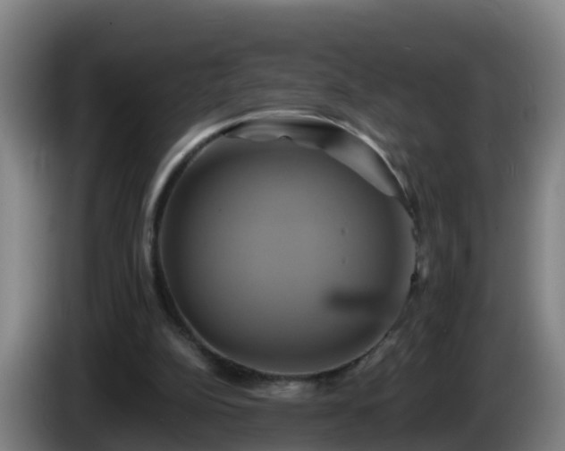 X0000086020152200703301040