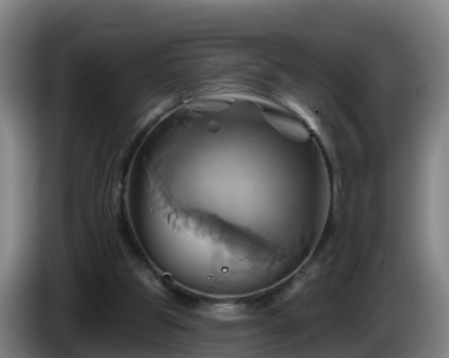 X0000086020153200703301040