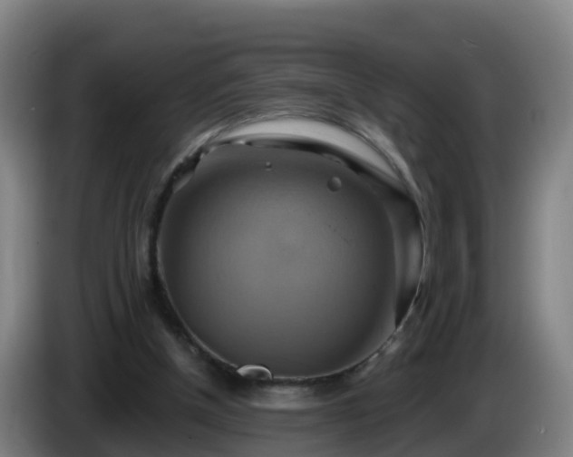 X0000086020154200703301040