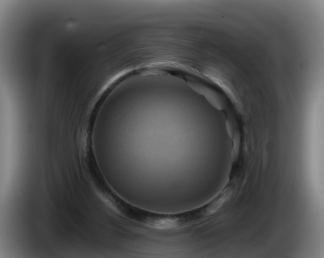X0000086020156200703301040