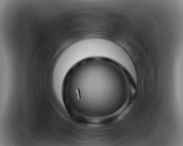 X0000086020158200703301040