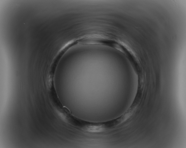 X0000086020160200703301040