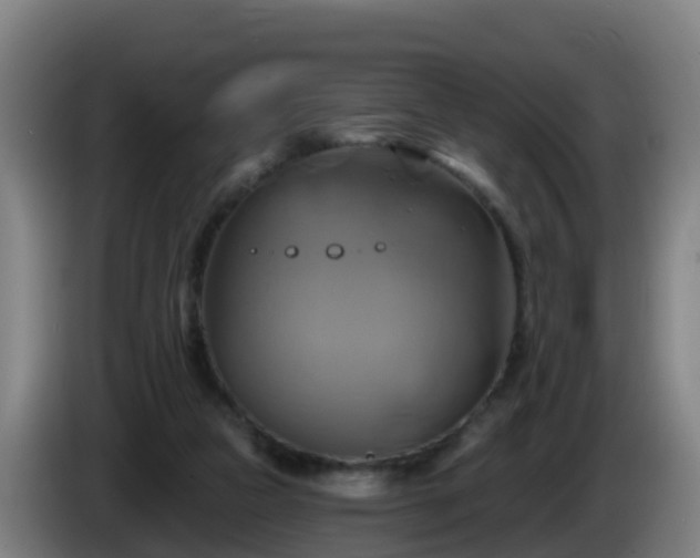 X0000086020161200703301040
