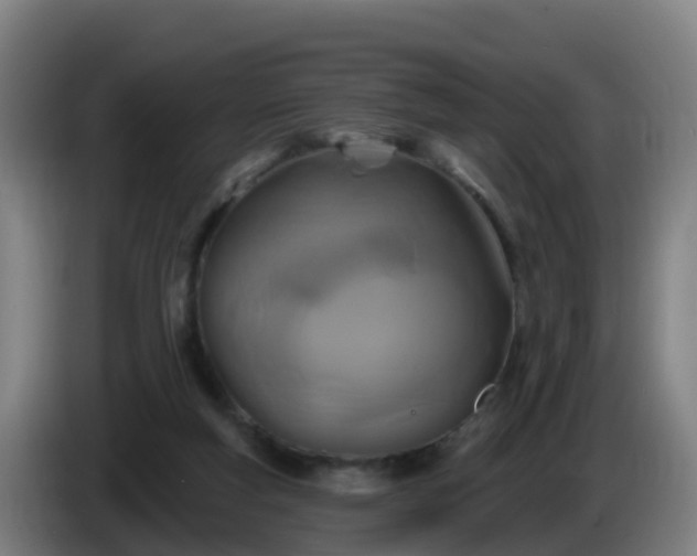 X0000086020163200703301040