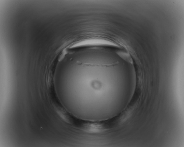 X0000086020165200703301040