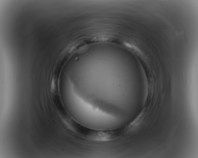 X0000086020166200703301040