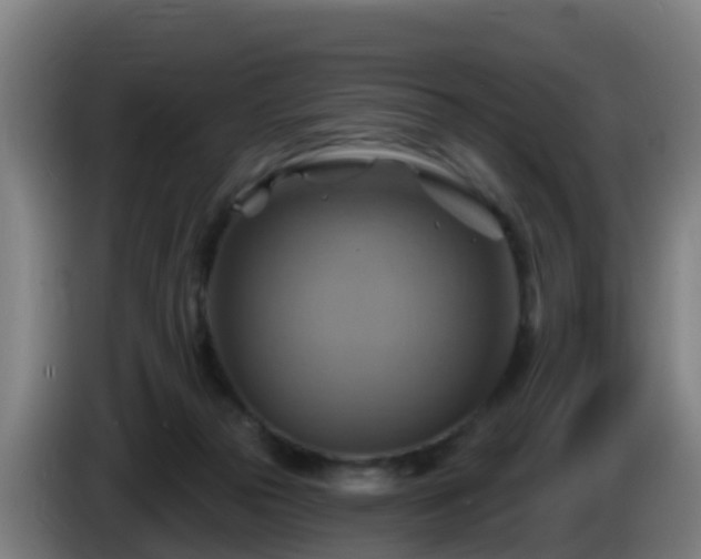 X0000086020169200703301040