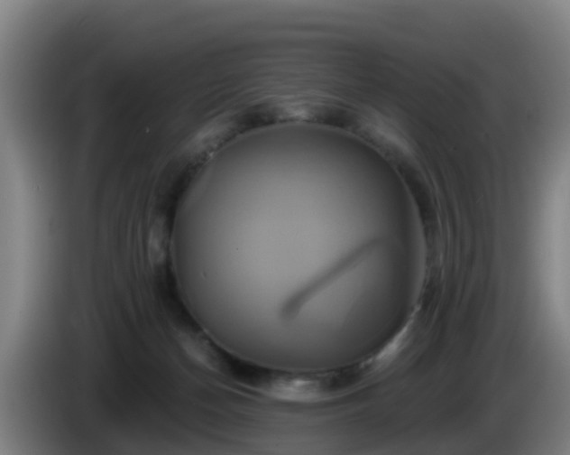 X0000086020174200703301040