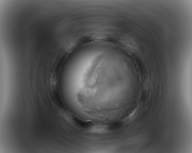 X0000086020179200703301040