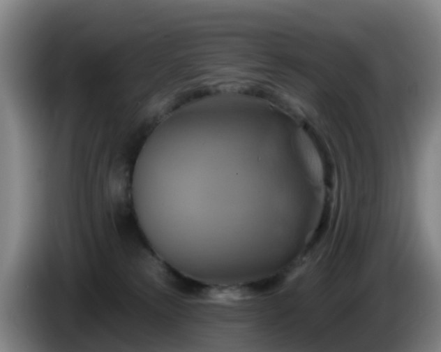 X0000086020181200703301040