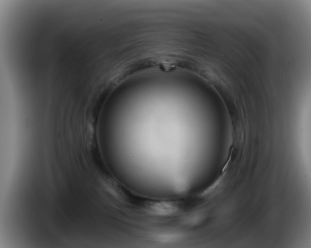 X0000086020183200703301040