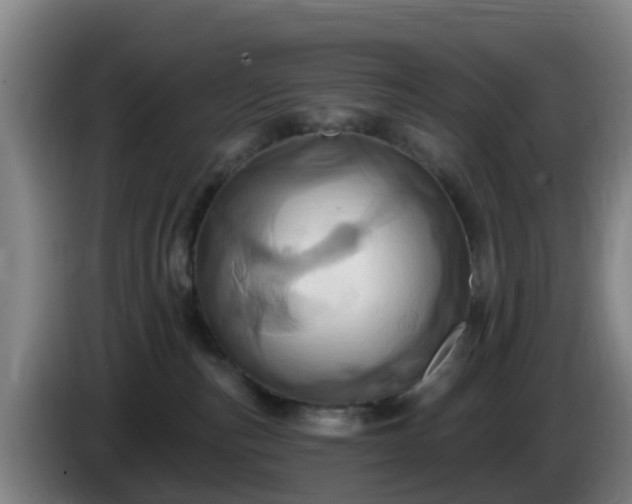 X0000086020187200703301040