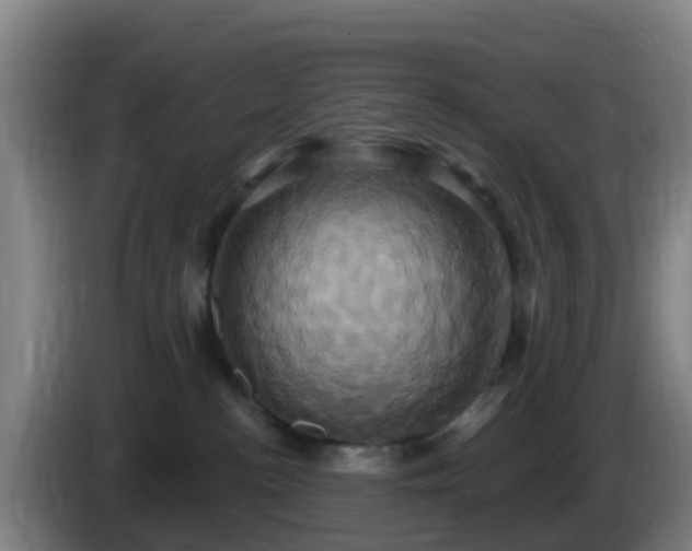 X0000086020188200703301040