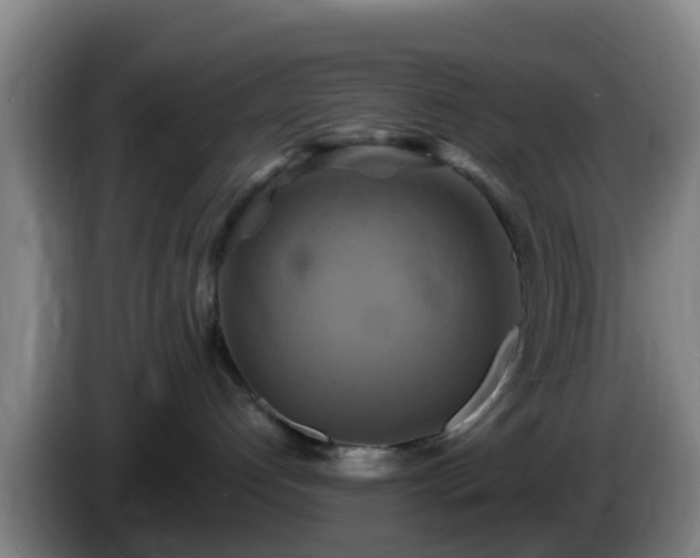 X0000086020192200703301040