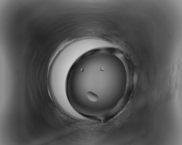 X0000086020195200703301039