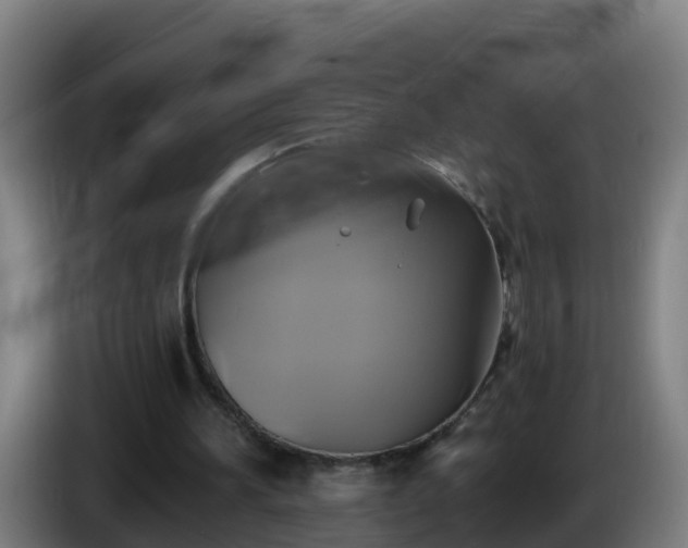 X0000086020196200703301039