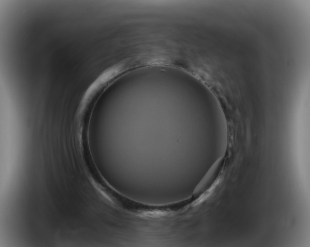 X0000086020197200703301039