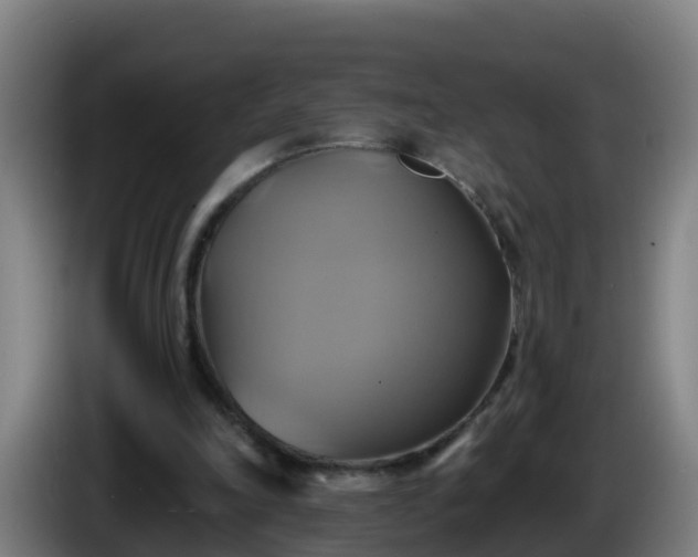 X0000086020198200703301039
