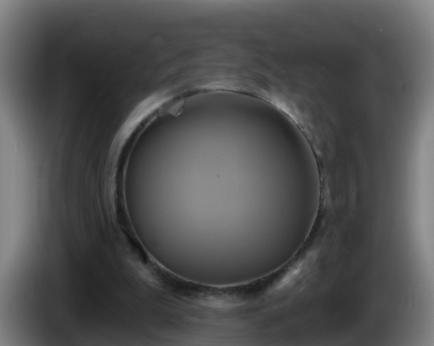 X0000086020199200703301039