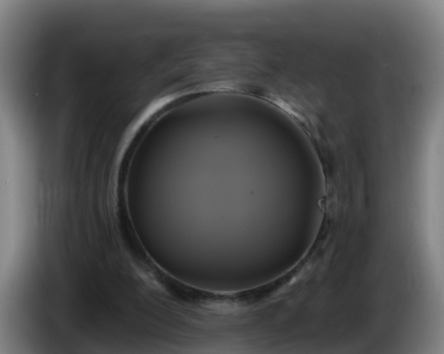X0000086020200200703301039