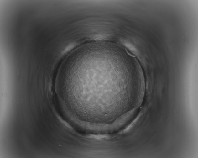 X0000086020201200703301039