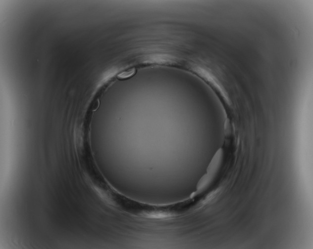 X0000086020204200703301039