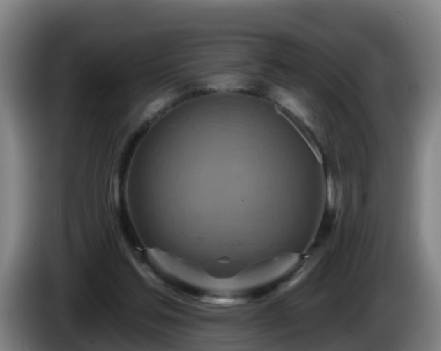 X0000086020205200703301039