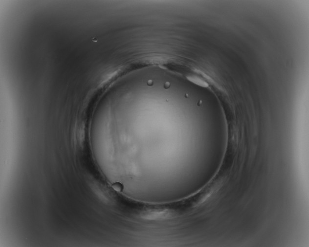 X0000086020206200703301039
