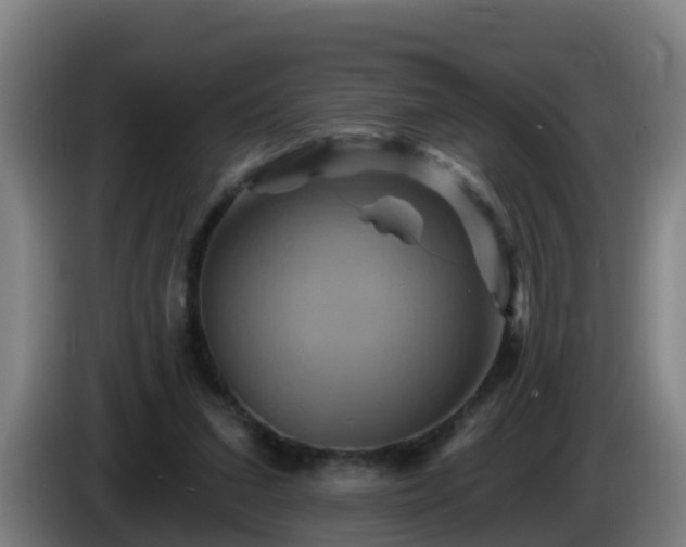 X0000086020207200703301039