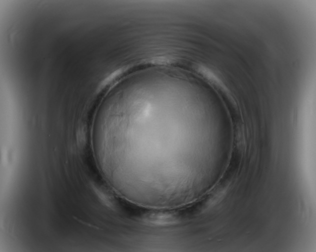 X0000086020208200703301039