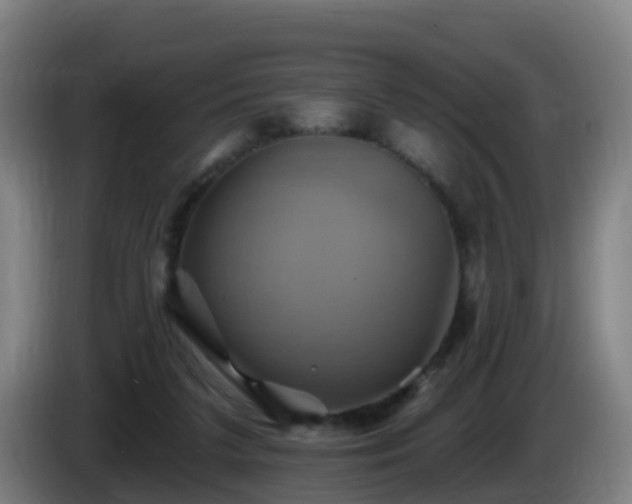 X0000086020211200703301039