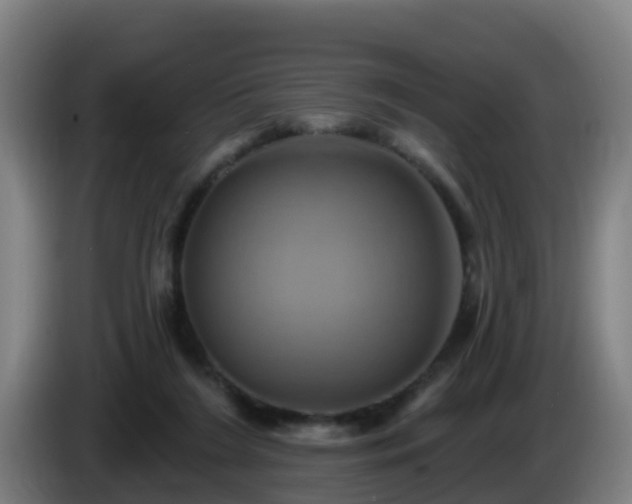 X0000086020212200703301039