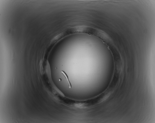 X0000086020216200703301039