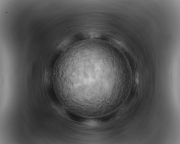 X0000086020218200703301039