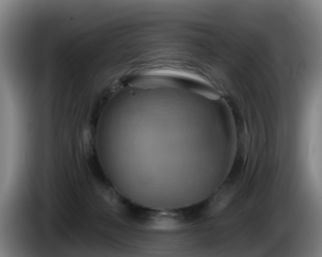 X0000086020222200703301039