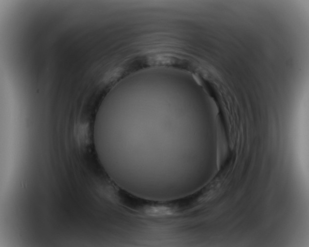 X0000086020224200703301039