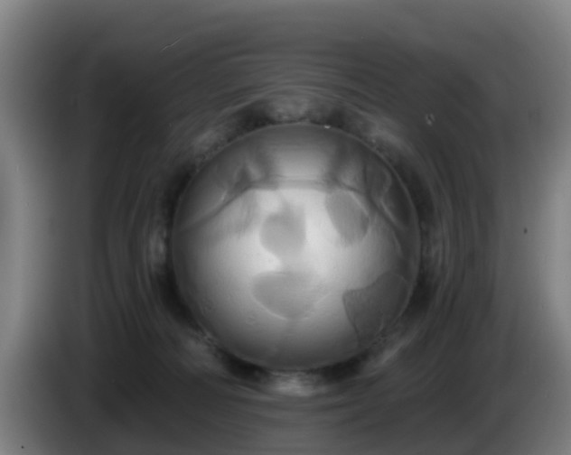 X0000086020226200703301039
