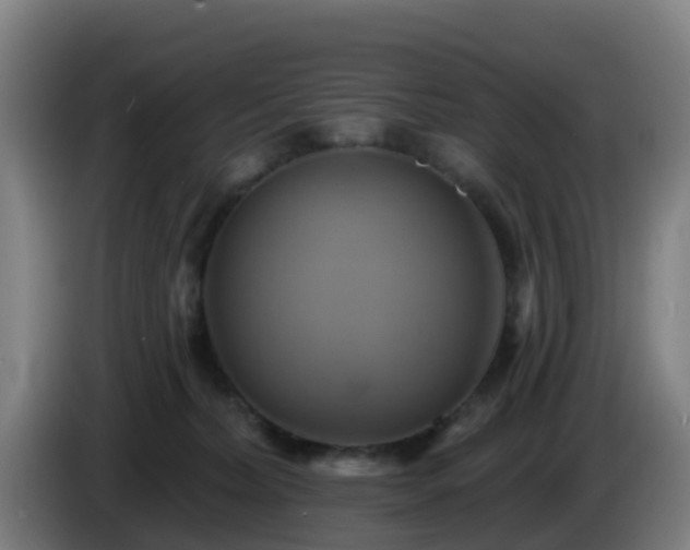 X0000086020228200703301039