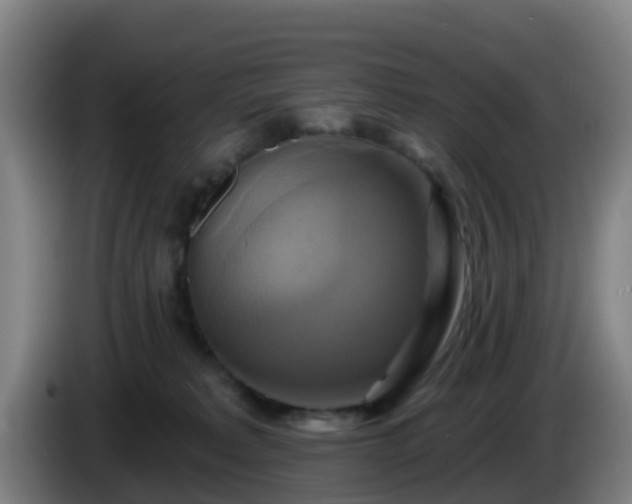 X0000086020229200703301039