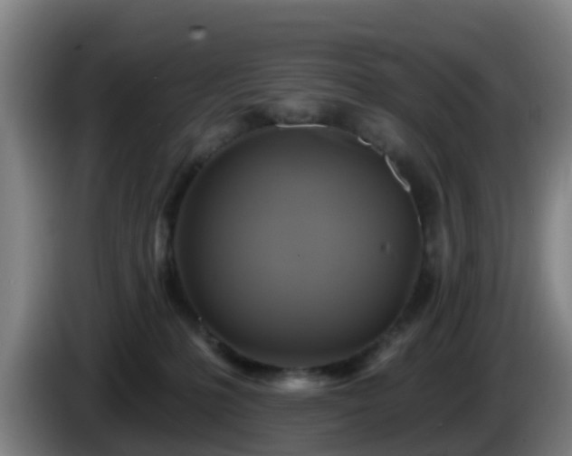 X0000086020231200703301039